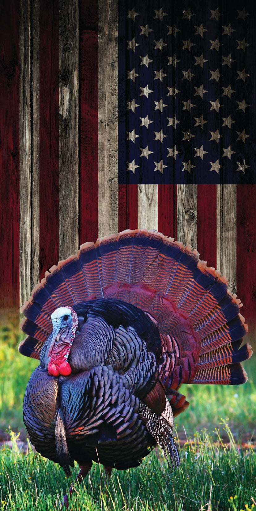 Faded Flag w/ Turkey (boards only)