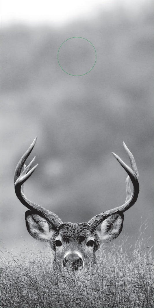 Deer/BW (boards only)